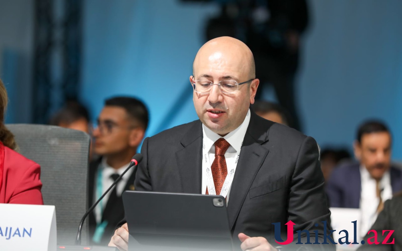 "Qarabağda görülən işlər dünya üçün maraqlı təcrübədir"