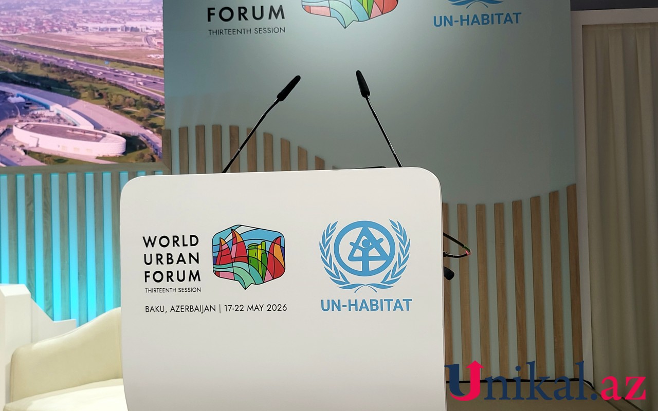 WUF13-də ikinci gün nələr olacaq?