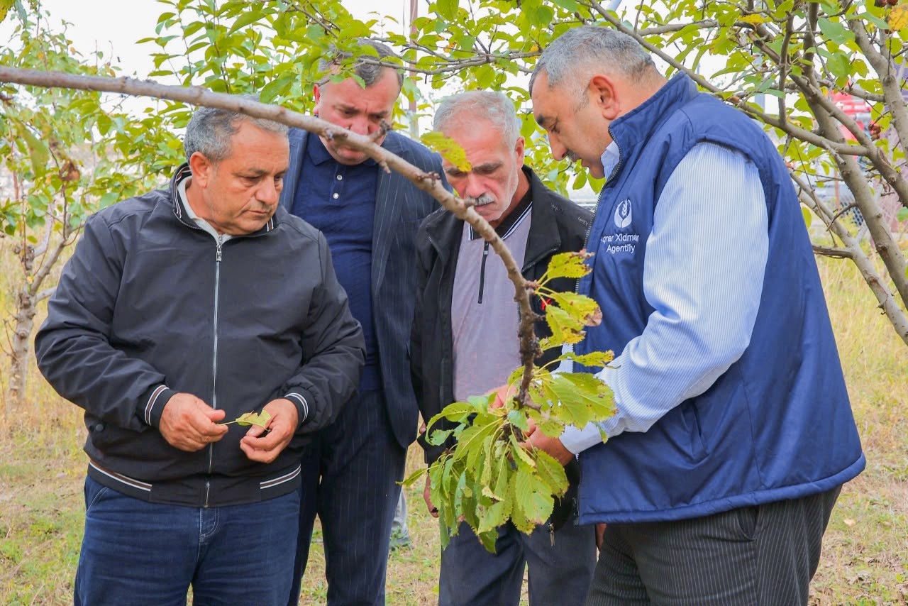 Xocalı və Xocavənddə səyyar aqrar xidmətlər göstərilib - FOTOLAR