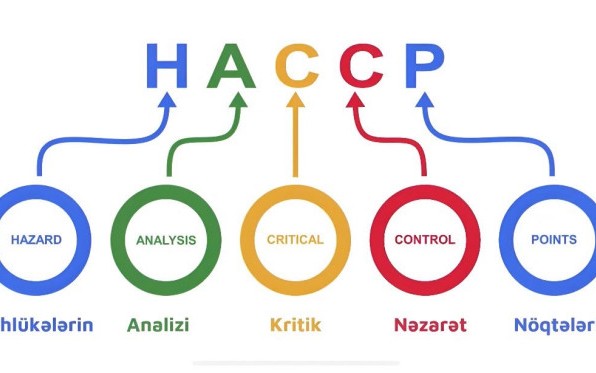 Kritik Nəzarət Nöqtəsi (CCP) nədir? - VİDEO