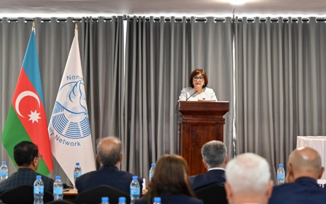 Sahibə Qafarova Tanzaniyada koordinasiya iclasına sədrlik etdi - FOTOLAR