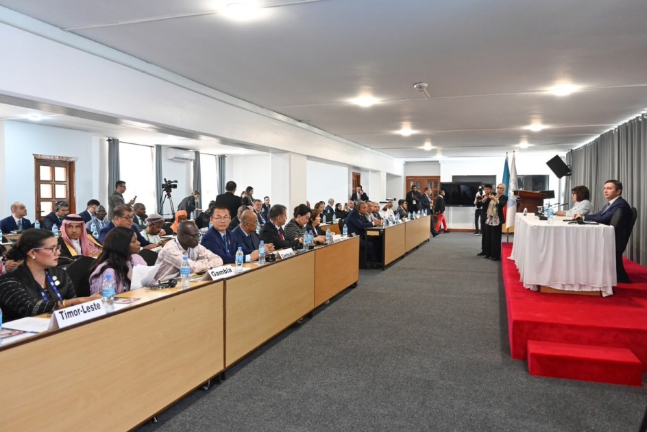 Sahibə Qafarova Tanzaniyada koordinasiya iclasına sədrlik etdi - FOTOLAR
