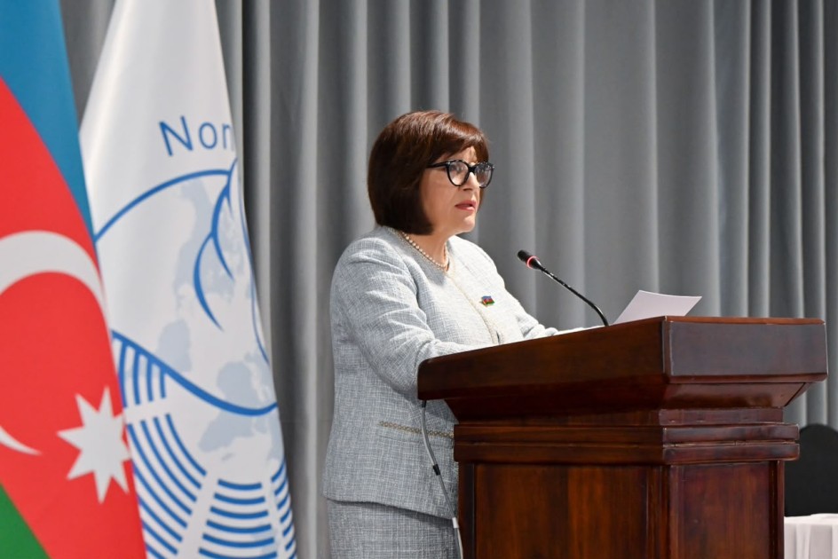 Sahibə Qafarova Tanzaniyada koordinasiya iclasına sədrlik etdi - FOTOLAR
