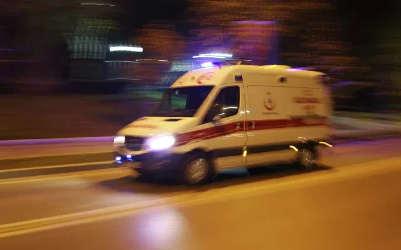 Türkiyənin bu əyalətində naməlum infeksiya yayılır