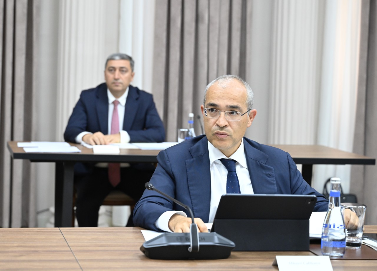 İqtisadi Şuranın növbəti iclası keçirildi - FOTOLAR