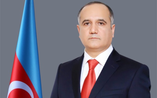 "Azərbaycanın təcrübəsi bu dövlətlər üçün çox faydalı ola bilər" - Deputat