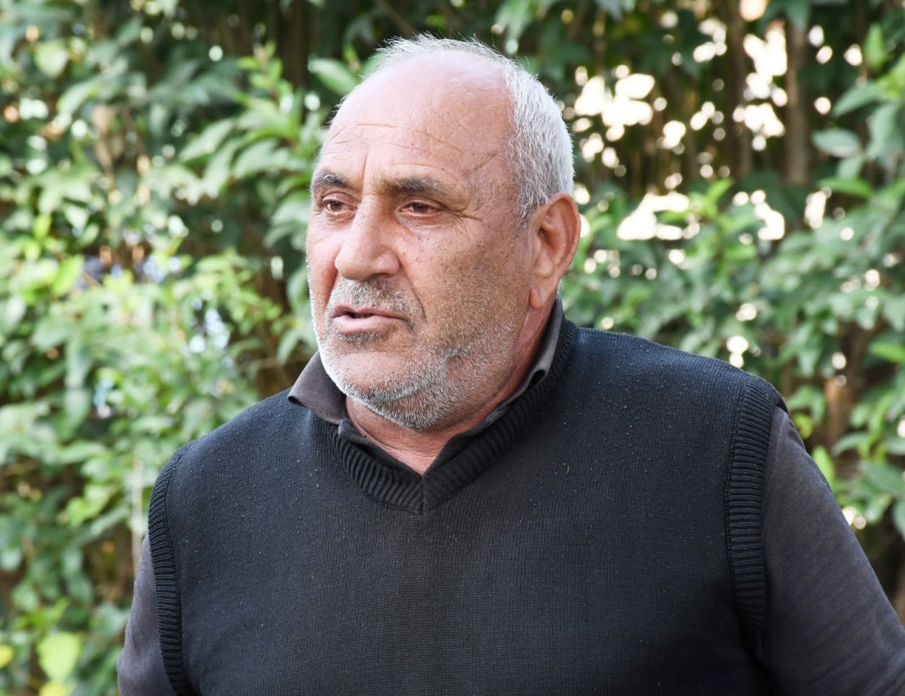 Vaqif Həsənov Gül Baharlı kəndində səyyar qəbul-görüş keçirib - FOTOLAR