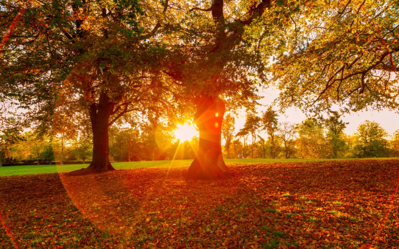 Bazar günü hava necə olacaq?
