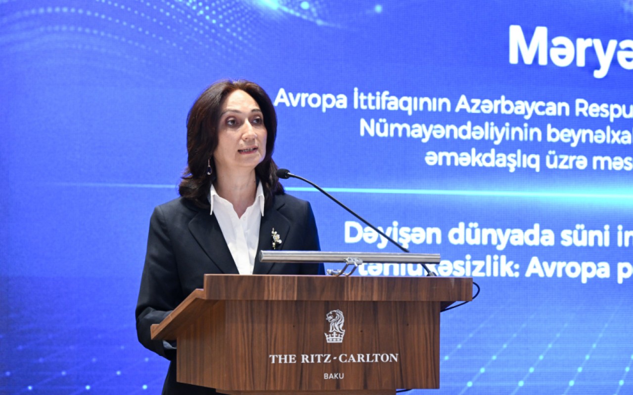 "Süni intellektlə sistemlərin zəif nöqtələrini müəyyən edə bilərlər" - Aİ-nin təmsilçisi