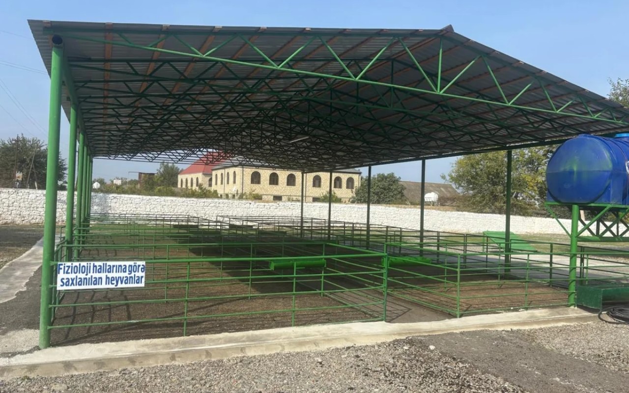 Şəmkirdə yeni heyvan satışı bazarı fəaliyyətə başladı