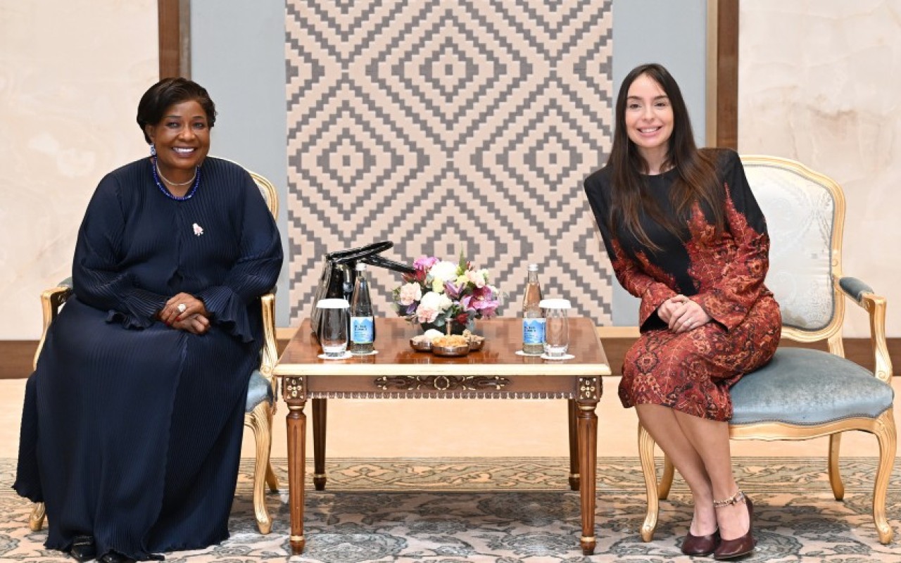 Leyla Əliyeva Zimbabvenin birinci xanımı ilə görüşdü
