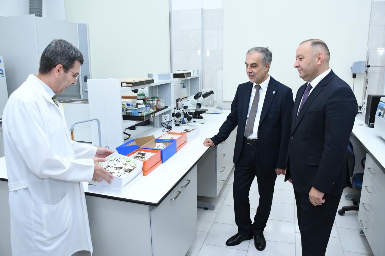 ADAU-Ege beynəlxalq ikili diplom proqramının rəhbər komitəsinin növbəti görüşü keçirilib - FOTOLAR