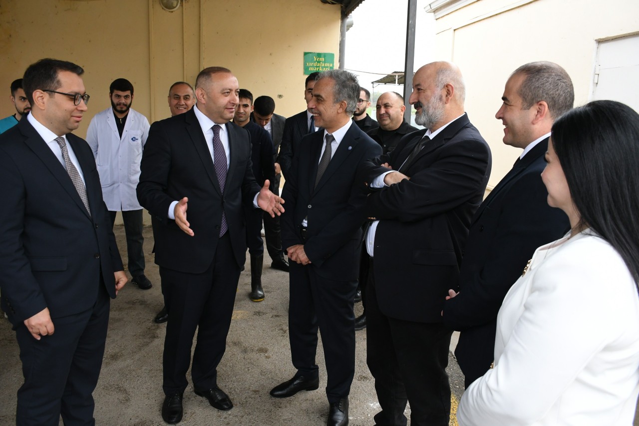ADAU-Ege beynəlxalq ikili diplom proqramının rəhbər komitəsinin növbəti görüşü keçirilib - FOTOLAR