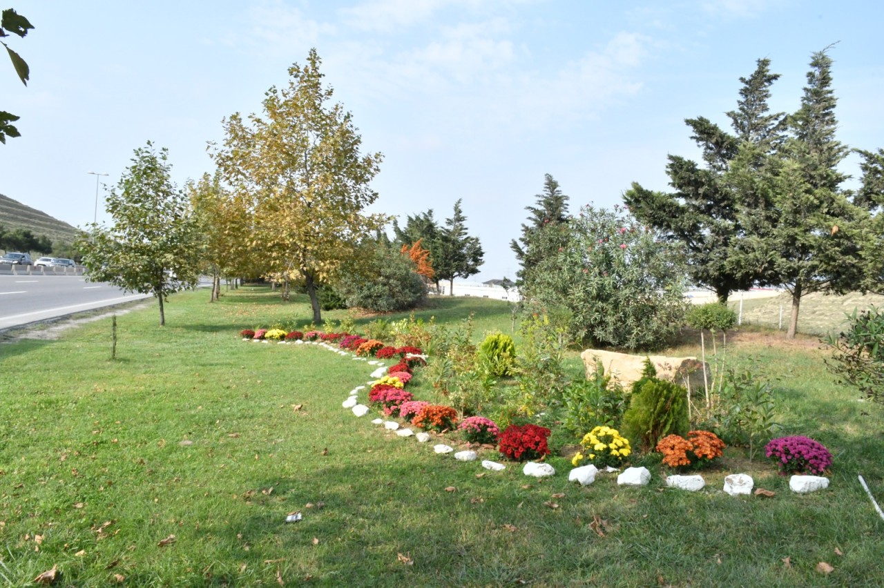 Abşeronda genişmiqyaslı abadlıq-quruculuq işləri davam etdirilir - FOTOLAR