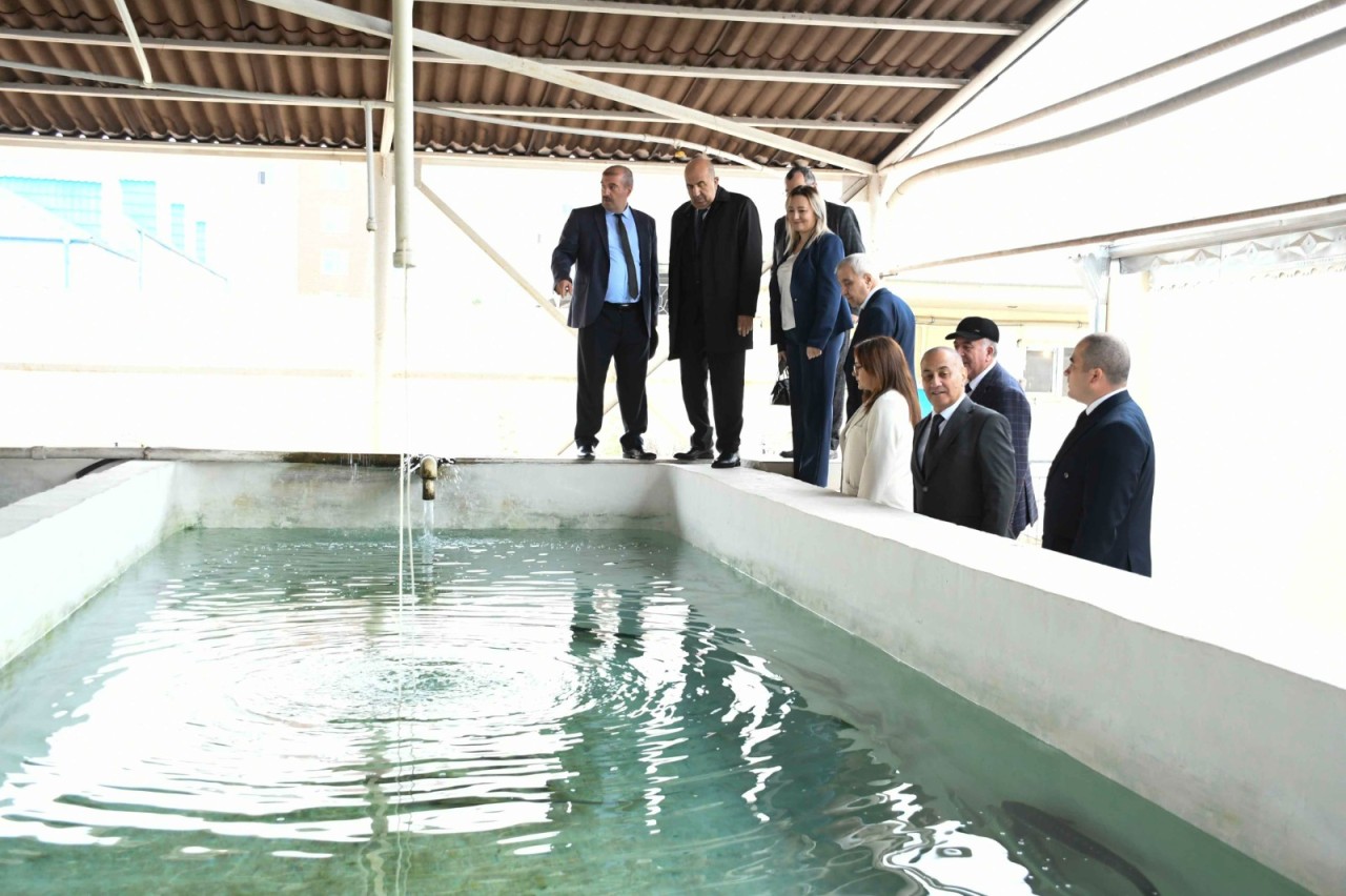 ADAU ilə Neft-Kimya Prosesləri İnstitutu arasında memorandum imzalanıb - FOTOLAR