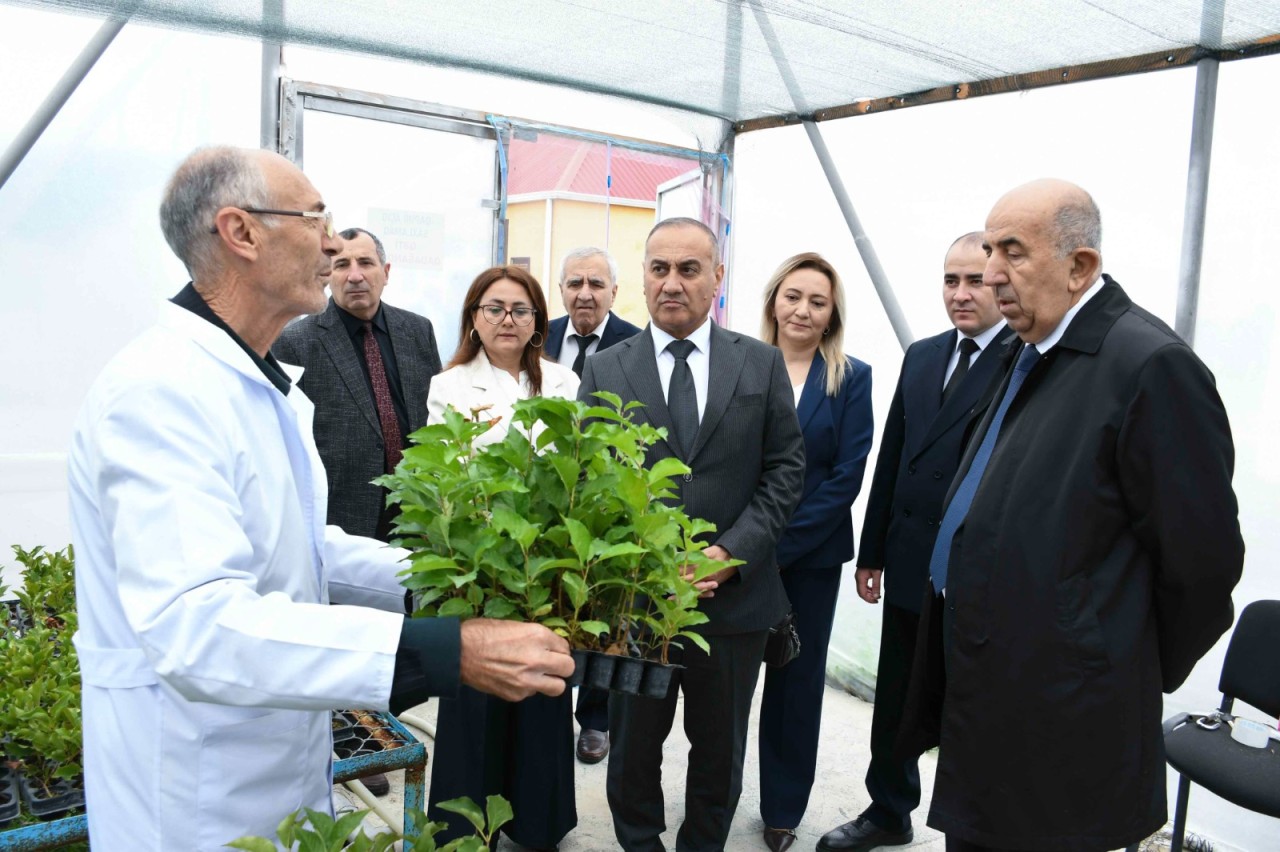 ADAU ilə Neft-Kimya Prosesləri İnstitutu arasında memorandum imzalanıb - FOTOLAR