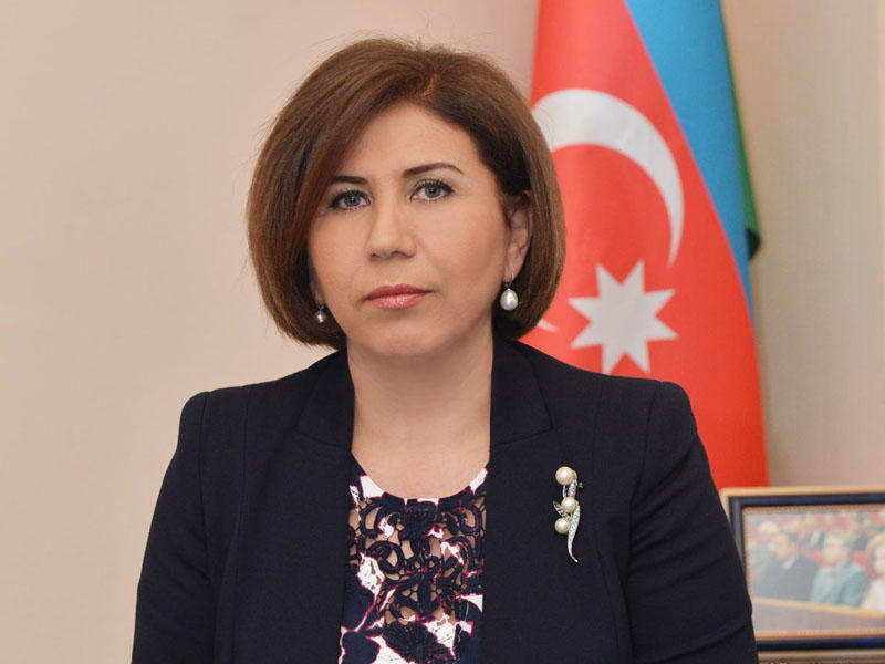 Bu öhdəlikləri Azərbaycan yerinə yetirir - Bahar Muradova